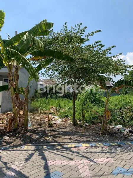 image TANAH KAVLING SIAP BANGUN MEDAYU UTARA 9X25 HADAP UTARA STRATEGIS DEKAT RENCANA OERR (1)