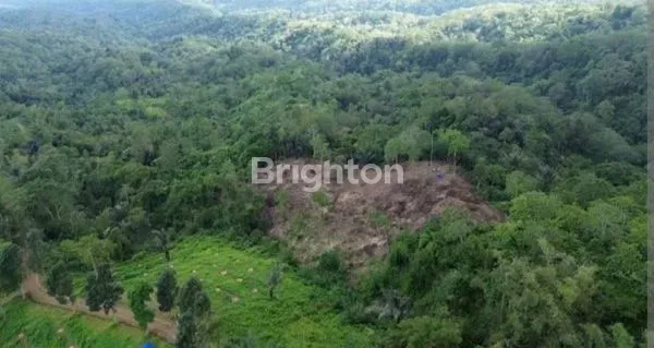 image TANAH KAVLING PREMIUM WISDOM LAND BALI (3)