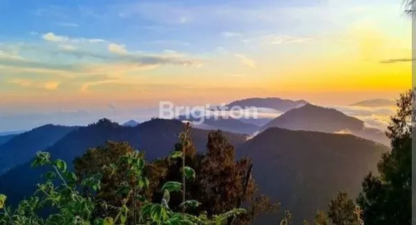 image TANAH KAVLING PREMIUM WISDOM LAND BALI (6)