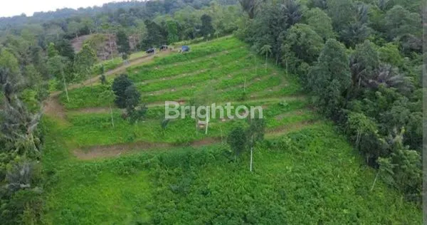 image TANAH KAVLING PREMIUM WISDOM LAND BALI (8)