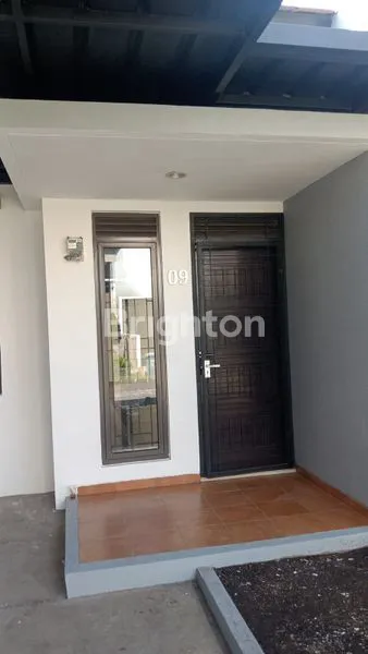 GRAND SHARON CLUSTER SANSIVIERA