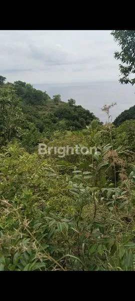 image TANAH STRATEGIS 8.890 M² DI NUSA PENIDA, SHM (5)