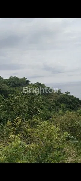 image TANAH STRATEGIS 8.890 M² DI NUSA PENIDA, SHM (3)