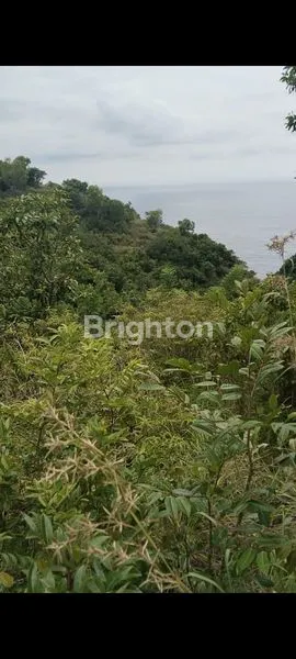 image TANAH STRATEGIS 8.890 M² DI NUSA PENIDA, SHM (1)