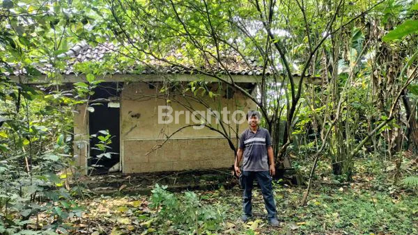 image DIJUAL TANAH GUDANG / PABRIK DI CUKANGGALIH CURUG TANGERANG (2)
