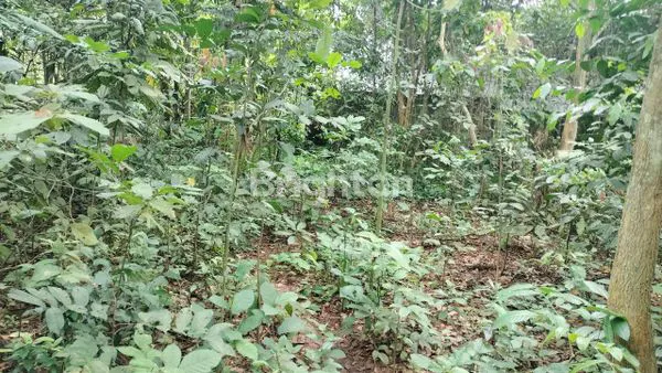 image DIJUAL TANAH GUDANG / PABRIK DI CUKANGGALIH CURUG TANGERANG (5)