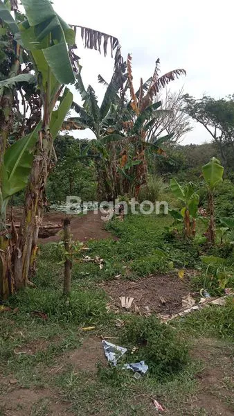 TANAH LUAS 1.820M² SHM DI TELUK BAYUR, MALANG