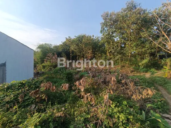 image TANAH PLESUNGAN GONDANGREJO KARANGANYAR (2)