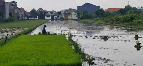 image DI JUAL TANAH AREA GEDANGAN (7)