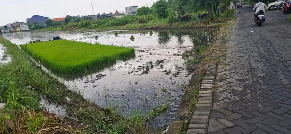 image DI JUAL TANAH AREA GEDANGAN (8)