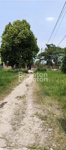 image TANAH KOSONG DI JALAN DENAI MEDAN. (2)