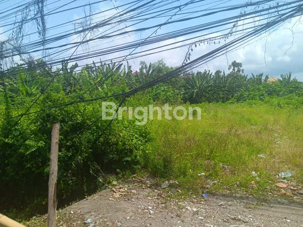 image LAHAN 50 ARE DI GELOGOR CATIK (5)