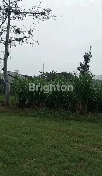 image DIJUAL LAHAN SANGAT STRATEGIS UNTUK RUANG USAHA (RUMAH MAKAN, CAFE, DLL) (3)