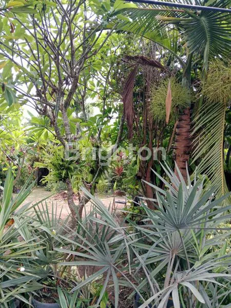 TANAH DAERAH CANGGU PUSAT KERAMAIAN