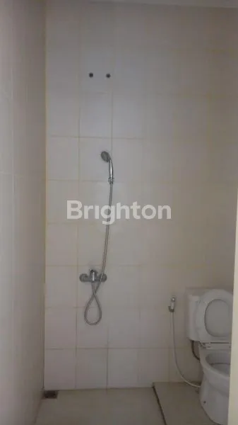 image PALMA GRANDIA (5)