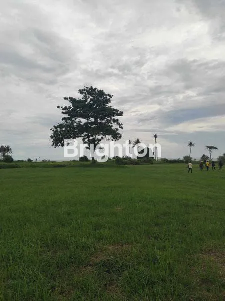 image TANAH SUPER CANTIK PANTAI BELONG TABANAN  (3)