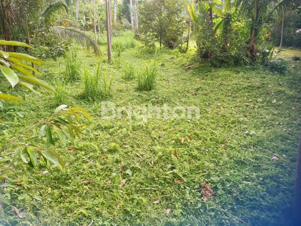 image TANAH SIAP KAVLING, LOKASI PARIWISATA BERKEMBANG (4)