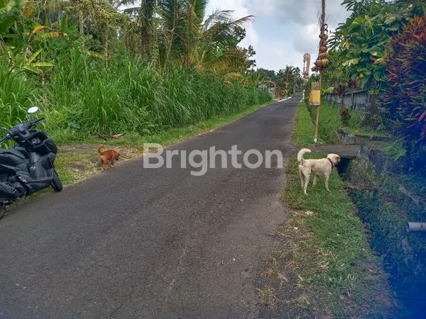image TANAH SIAP KAVLING, LOKASI PARIWISATA BERKEMBANG (3)
