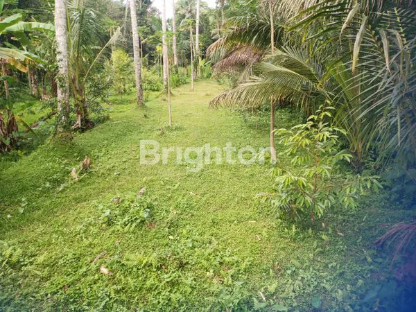 image TANAH SIAP KAVLING, LOKASI PARIWISATA BERKEMBANG (5)