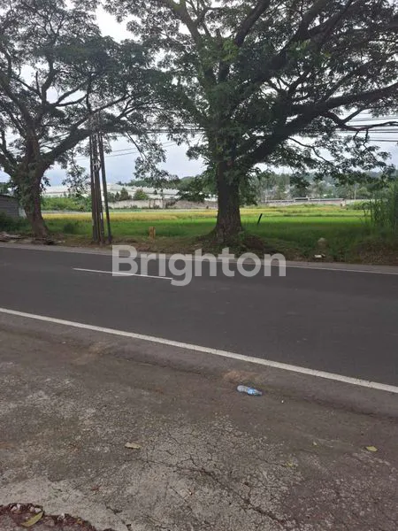 DIJUAL TANAH POROS PROVINSI, LOKASI SANGAT STRATEGIS