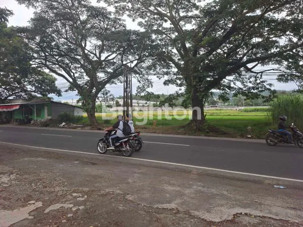 image DIJUAL TANAH POROS PROVINSI, LOKASI SANGAT STRATEGIS (4)