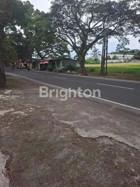 image DIJUAL TANAH POROS PROVINSI, LOKASI SANGAT STRATEGIS (2)