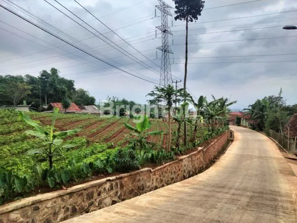 image INVESTASI LAHAN KEBUN POTENSIAL - PACET MAJALAYA (2)