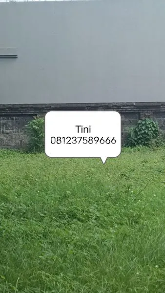 image TANAH PREMIUM LOKASI PREMIUM DI RENON (1)