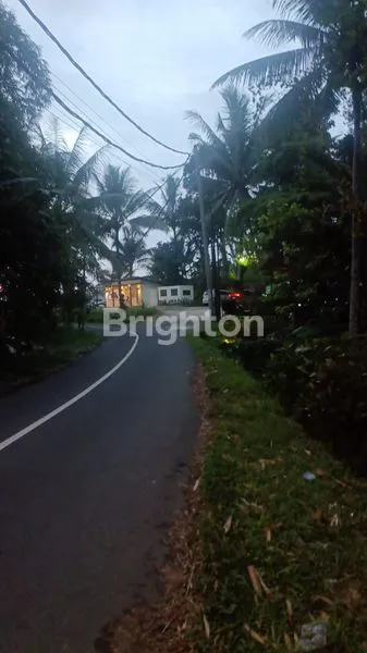 image FOR LONG-TERM RENT – LAND IN TEGALALANG, UBUD\\N\\NTANAH UNTUK DI SEWAKAN JANGKA PANJANG (2)