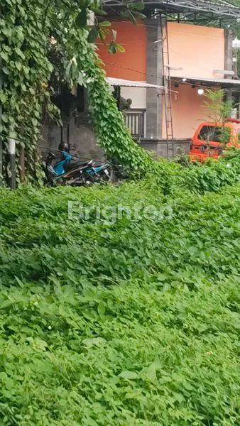 image TANAH PREMIUM LOKASI PREMIUM DI RENON (5)