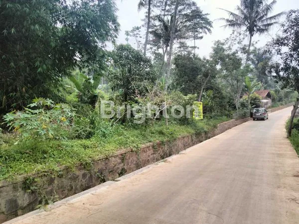 image LAHAN EKSKLUSIF DENGAN POTENSI KENAIKAN NILAI TINGGI DI PACET MAJALAYA (4)