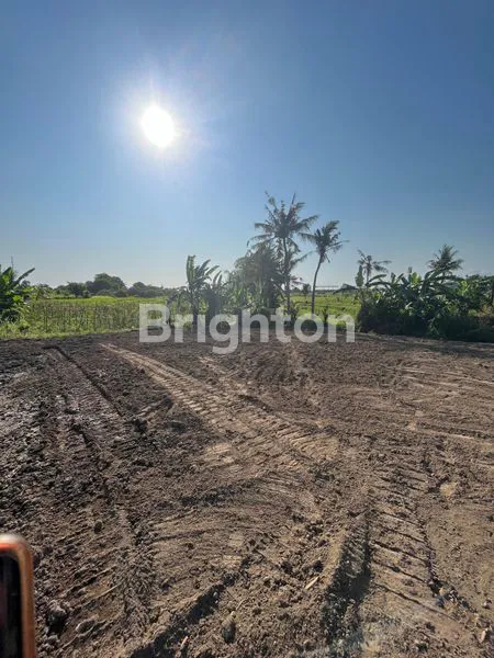 DIJUAL TANAH KEDUNGU 200MTR FRONT BEACH
