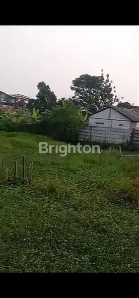 image TANAH KAVLING LUAS: 5102M² RAYA TANJUNG PASIR DEKAT PIK 2 TELUKNAGA TANGERANG (4)