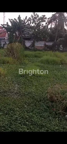 image TANAH KAVLING LUAS: 5102M² RAYA TANJUNG PASIR DEKAT PIK 2 TELUKNAGA TANGERANG (5)