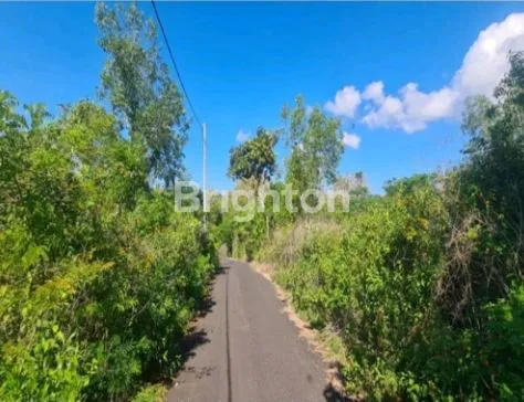 image LAHAN STRATEGIS 2 HEKTAR DI KAWASAN PARIWISATA KUTA SELATAN (1)