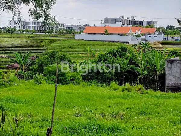 image TANAH DISEWAKAN 647M2 ZONE KUNING PERERENAN (2)