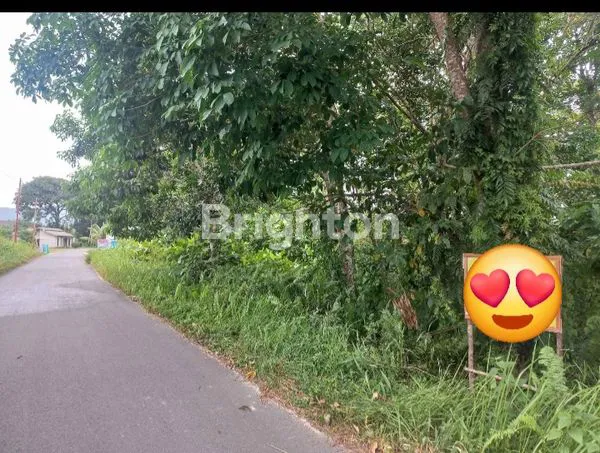 TANAH MURAH STRATEGIS PADANG KURAK BUNGARAN TIMUR KEPULAUAN RIAU