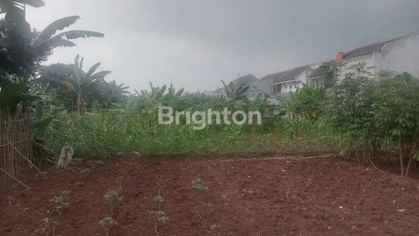 DIJUAL TANAH KAVLING 9800 M2 DI CITEUREUP BOGOR