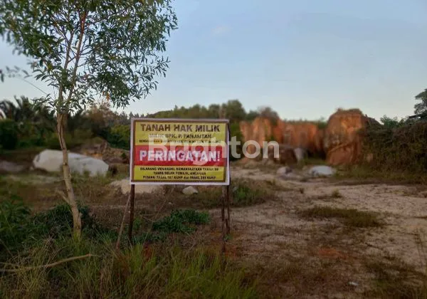 TANAH MURAH STRATEGIS SENUBING LINGKAR PULAU NATUNA RIAU