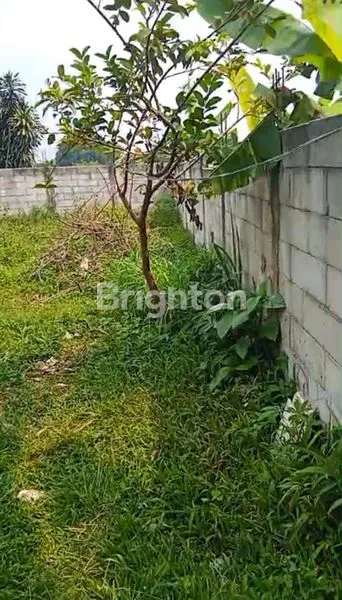 image DI JUAL TANAH STRATEGIS DI BOJONG GEDE, 1-4 MENIT KE STASIUN BOJONG GEDE JALAN KAKI (4)