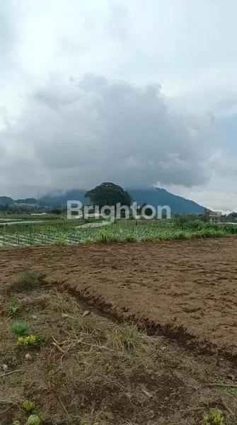 image TANAH DIDAERAH SEJUK DS PANDEAN NGABLAK (2)