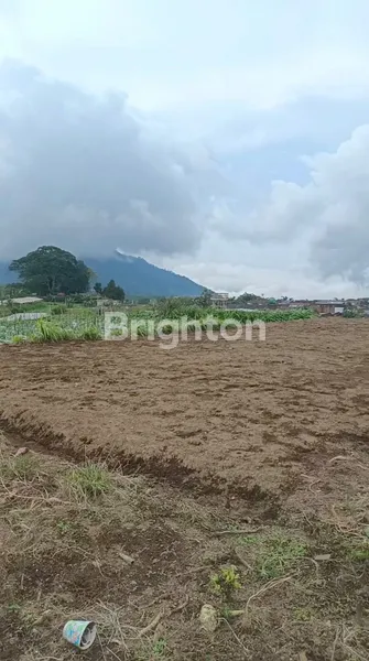 image TANAH DIDAERAH SEJUK DS PANDEAN NGABLAK (3)