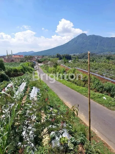 image TANAH DIDAERAH SEJUK DS PANDEAN NGABLAK (4)