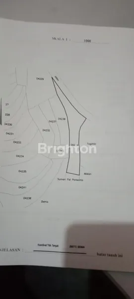 image TANAH DIDAERAH SEJUK DS PANDEAN NGABLAK (5)