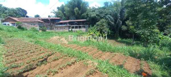 image TANAH JATINANGOR (4)