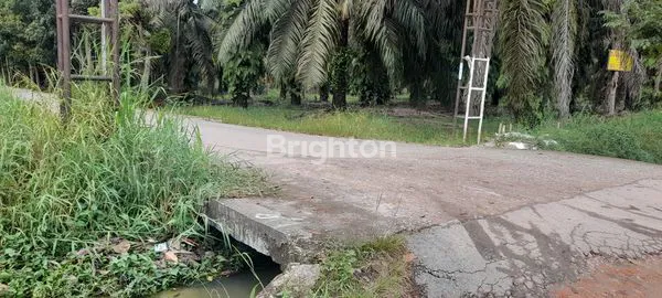 image TANAH HOOK STRATEGIS DI JLN CITRA, DEKAT HOTEL BINTANG 5 (5)