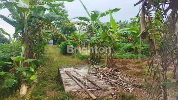 image TANAH STRATEGIS CIOMAS, VIEW PEGUNUNGAN & SHM (3)