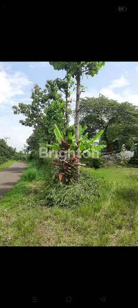 image TANAH KEBUN LUAS 2,4 HEKTAR DI WONOKERTO DEKAT SMPN 2  (8)