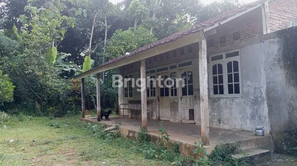 image TANAH LUAS 823M DAN MURAH SUSUKAN KAB SEMARANG  (2)