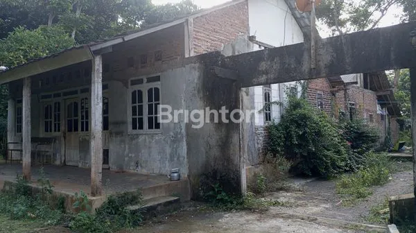 image TANAH LUAS 823M DAN MURAH SUSUKAN KAB SEMARANG  (7)